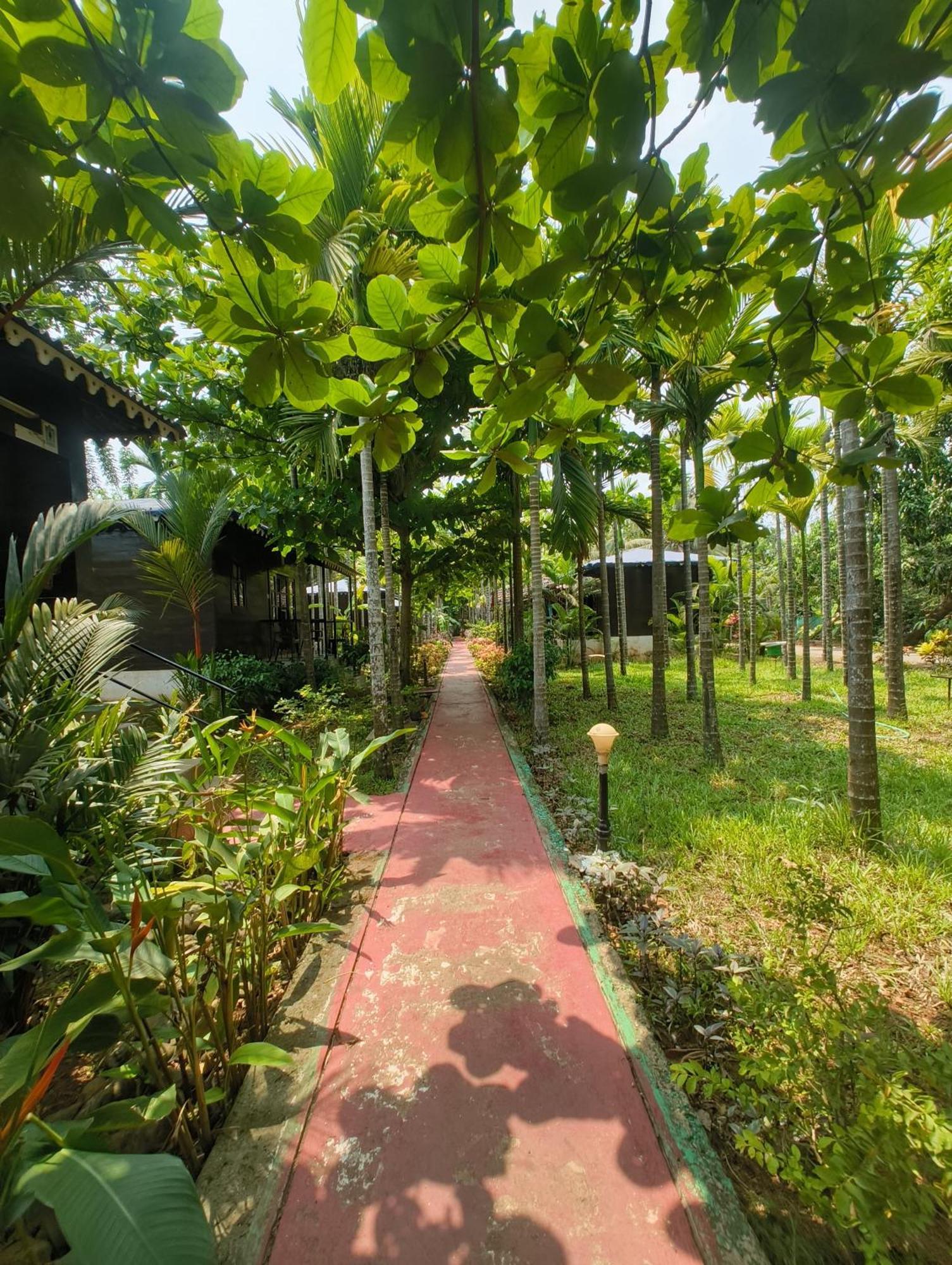Go Green Spice&Eco Resort Cavelossim Exterior foto